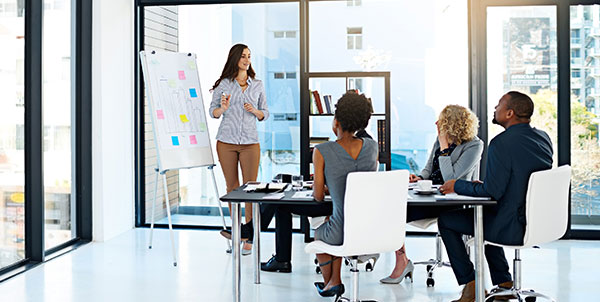 About Shabbir & Co Chartered Certified Accountants